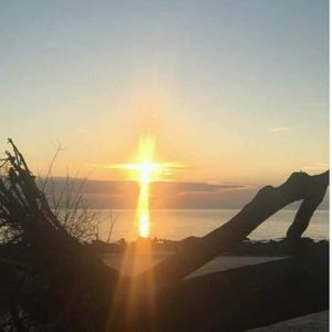 Meet your Posher, Wanda